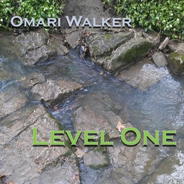 Cover art for Level One